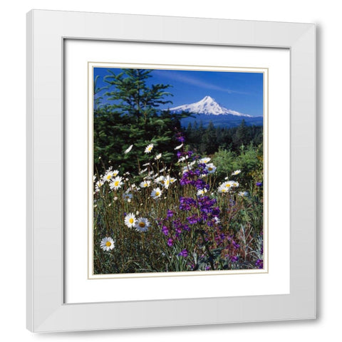 Mt. Hood V White Modern Wood Framed Art Print with Double Matting by Leahy, Ike