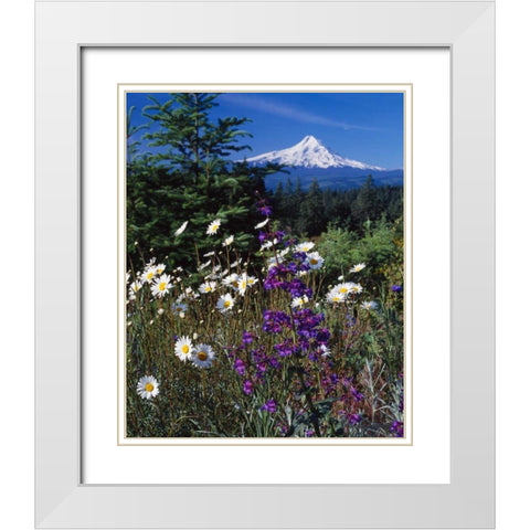 Mt. Hood V White Modern Wood Framed Art Print with Double Matting by Leahy, Ike