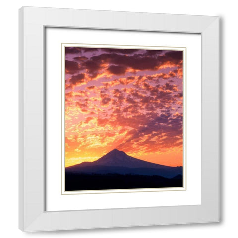 Mt. Hood XXII White Modern Wood Framed Art Print with Double Matting by Leahy, Ike