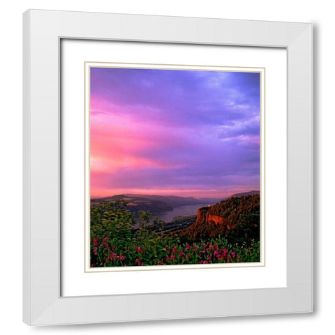 Columbia River Gorge IX White Modern Wood Framed Art Print with Double Matting by Leahy, Ike