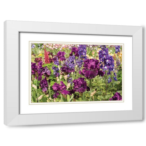 Purple Garden II White Modern Wood Framed Art Print with Double Matting by Love, Maureen