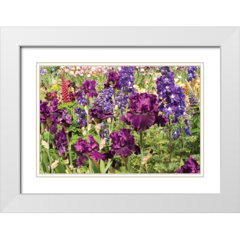 Purple Garden II White Modern Wood Framed Art Print with Double Matting by Love, Maureen