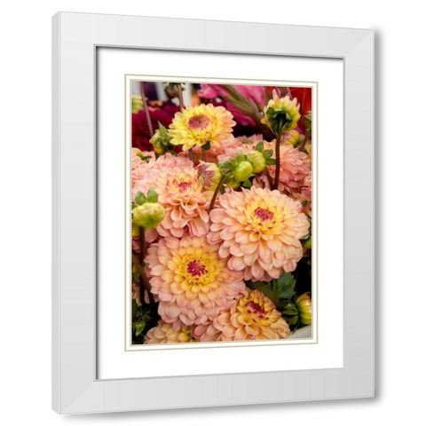 Mauve Dalhia I White Modern Wood Framed Art Print with Double Matting by Love, Maureen