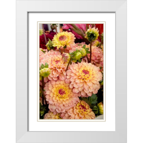 Mauve Dalhia I White Modern Wood Framed Art Print with Double Matting by Love, Maureen