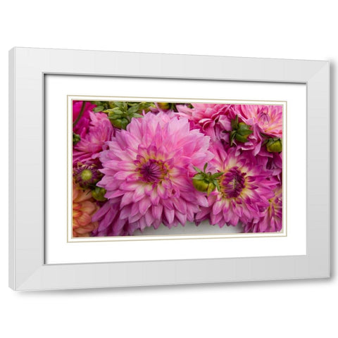 Purple Dalhia I White Modern Wood Framed Art Print with Double Matting by Love, Maureen
