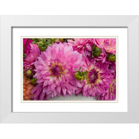 Purple Dalhia I White Modern Wood Framed Art Print with Double Matting by Love, Maureen