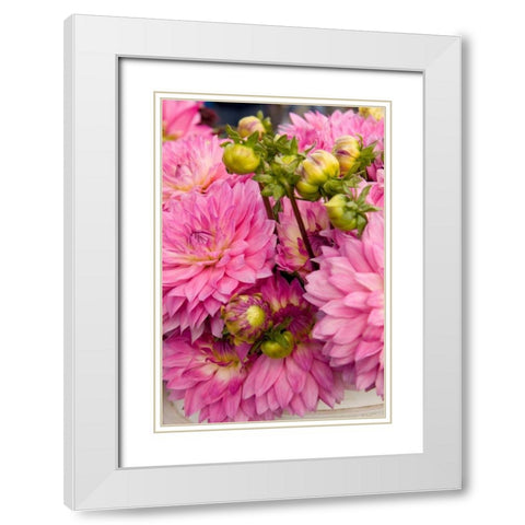 Pink Dalhia I White Modern Wood Framed Art Print with Double Matting by Love, Maureen