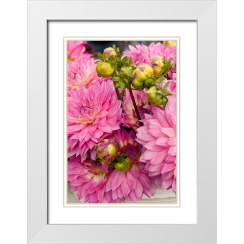 Pink Dalhia I White Modern Wood Framed Art Print with Double Matting by Love, Maureen