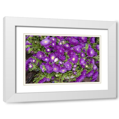 Purple Stars I White Modern Wood Framed Art Print with Double Matting by Love, Maureen