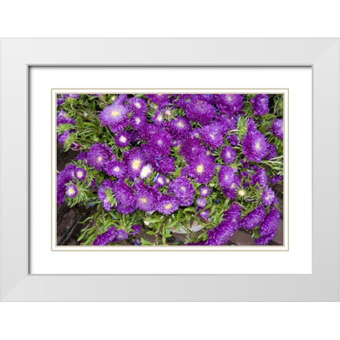Purple Stars I White Modern Wood Framed Art Print with Double Matting by Love, Maureen