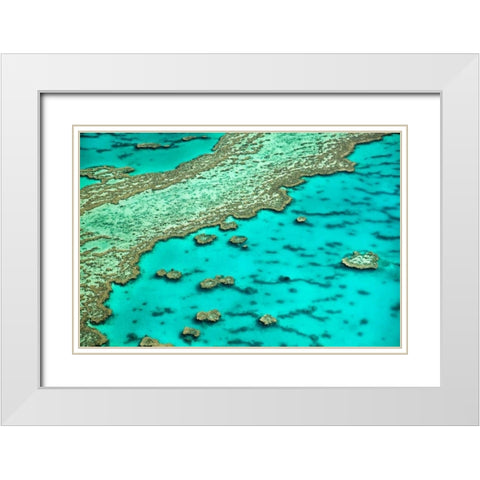 Great Barrier Reef I White Modern Wood Framed Art Print with Double Matting by Malvin, Larry