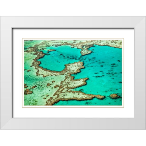 Great Barrier Reef III White Modern Wood Framed Art Print with Double Matting by Malvin, Larry