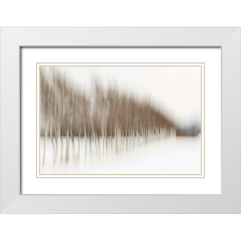Birch Blur I White Modern Wood Framed Art Print with Double Matting by Malvin, Larry