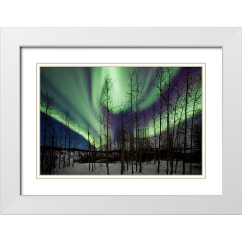 Aurora Borealis IX White Modern Wood Framed Art Print with Double Matting by Malvin, Larry