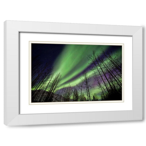 Aurora Borealis XI White Modern Wood Framed Art Print with Double Matting by Malvin, Larry