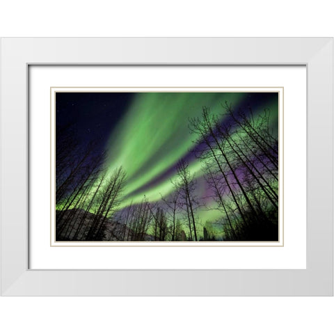 Aurora Borealis XI White Modern Wood Framed Art Print with Double Matting by Malvin, Larry