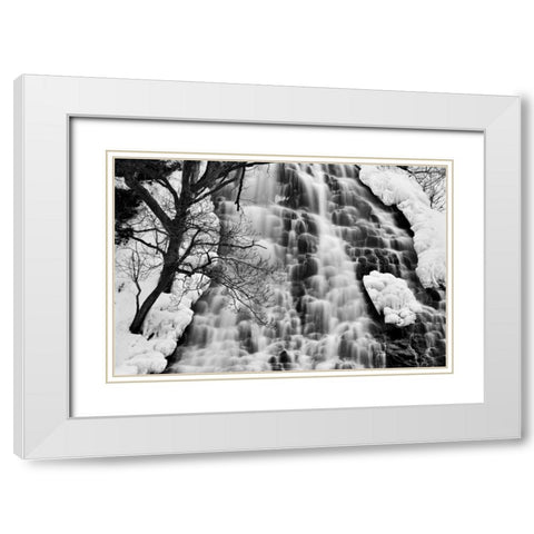 Oshinkoshin Falls II White Modern Wood Framed Art Print with Double Matting by Malvin, Larry