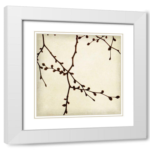 Branches I White Modern Wood Framed Art Print with Double Matting by Melious, Amy