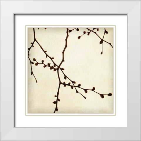 Branches I White Modern Wood Framed Art Print with Double Matting by Melious, Amy
