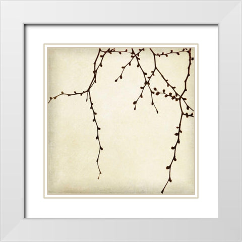 Branches II White Modern Wood Framed Art Print with Double Matting by Melious, Amy