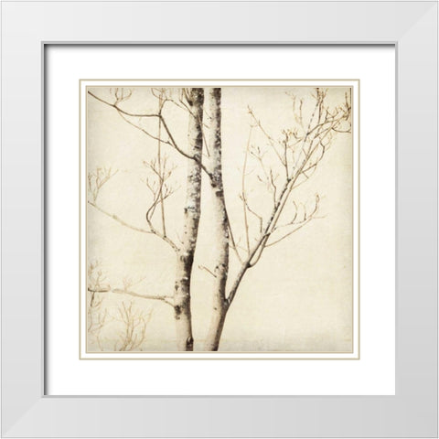 Winter Trees II White Modern Wood Framed Art Print with Double Matting by Melious, Amy