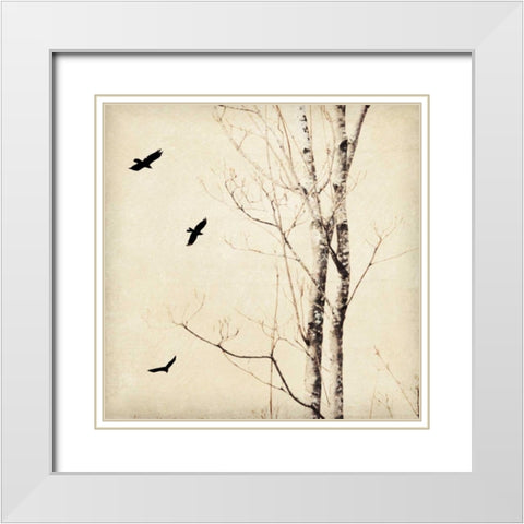 In Flight II White Modern Wood Framed Art Print with Double Matting by Melious, Amy