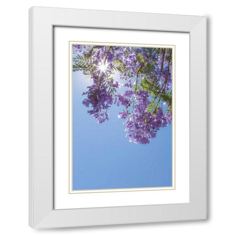Jacaranda Tree I White Modern Wood Framed Art Print with Double Matting by Mahan, Kathy