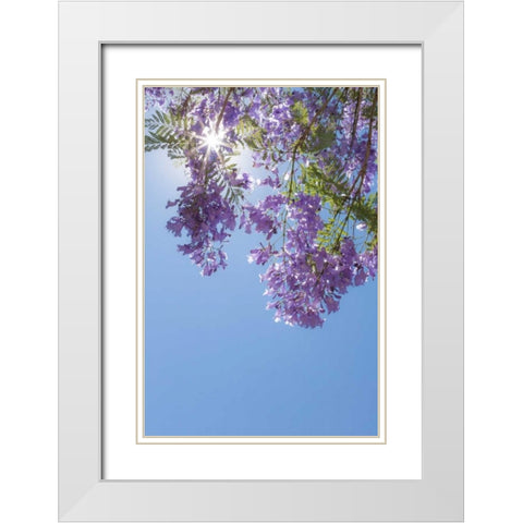 Jacaranda Tree I White Modern Wood Framed Art Print with Double Matting by Mahan, Kathy