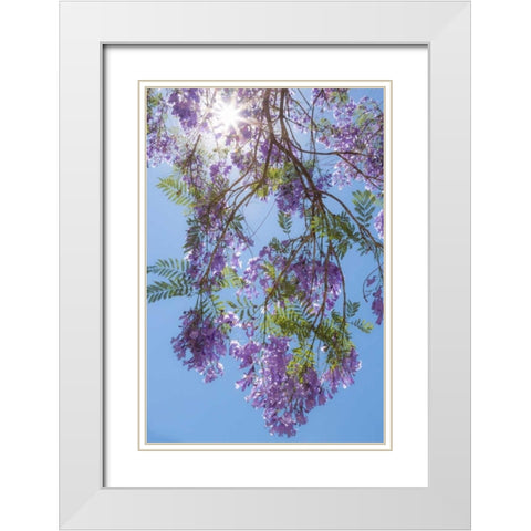Jacaranda Tree II White Modern Wood Framed Art Print with Double Matting by Mahan, Kathy