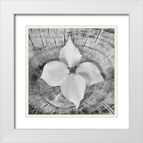 Bloom I White Modern Wood Framed Art Print with Double Matting by Mahan, Kathy