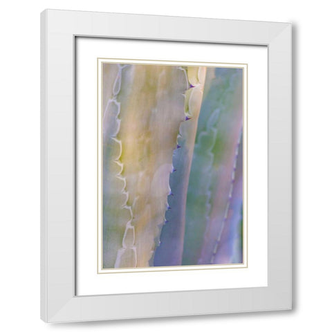 Agave I White Modern Wood Framed Art Print with Double Matting by Mahan, Kathy