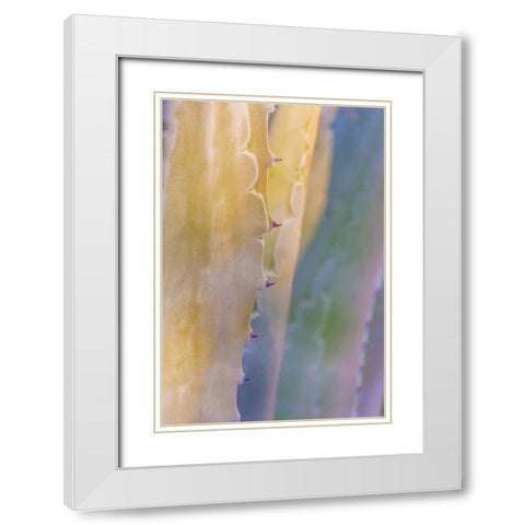 Agave II White Modern Wood Framed Art Print with Double Matting by Mahan, Kathy