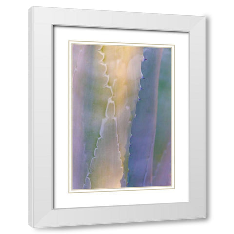 Agave III White Modern Wood Framed Art Print with Double Matting by Mahan, Kathy
