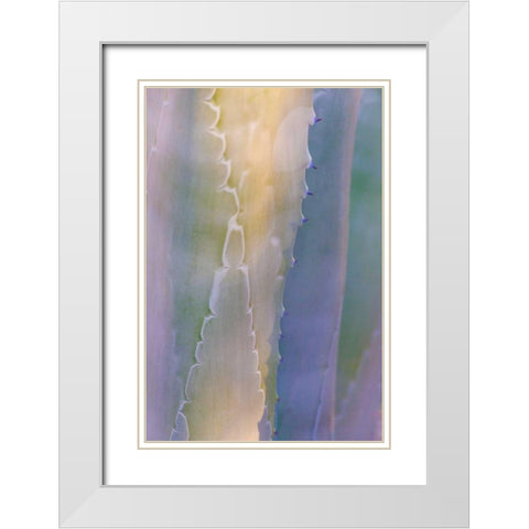 Agave III White Modern Wood Framed Art Print with Double Matting by Mahan, Kathy