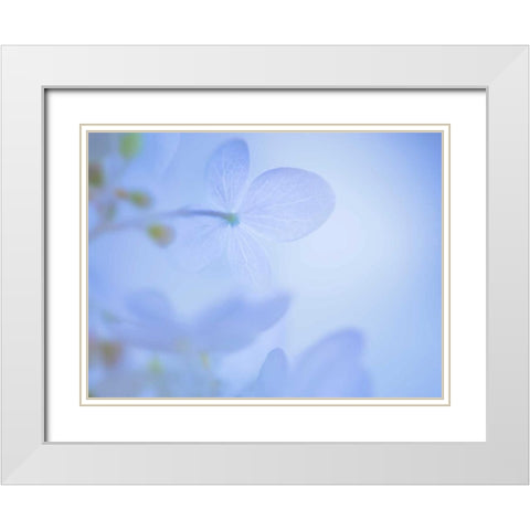Lime Light Hydrangea III White Modern Wood Framed Art Print with Double Matting by Mahan, Kathy