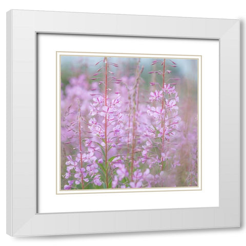 Fireweed II White Modern Wood Framed Art Print with Double Matting by Mahan, Kathy