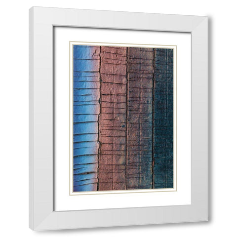 Weathered White Modern Wood Framed Art Print with Double Matting by Mahan, Kathy