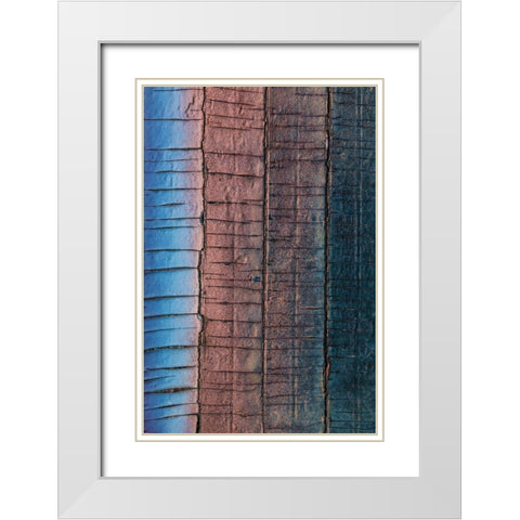 Weathered White Modern Wood Framed Art Print with Double Matting by Mahan, Kathy