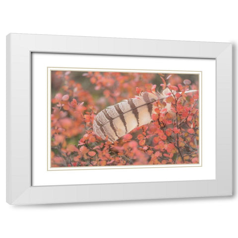 Owl Feather White Modern Wood Framed Art Print with Double Matting by Mahan, Kathy