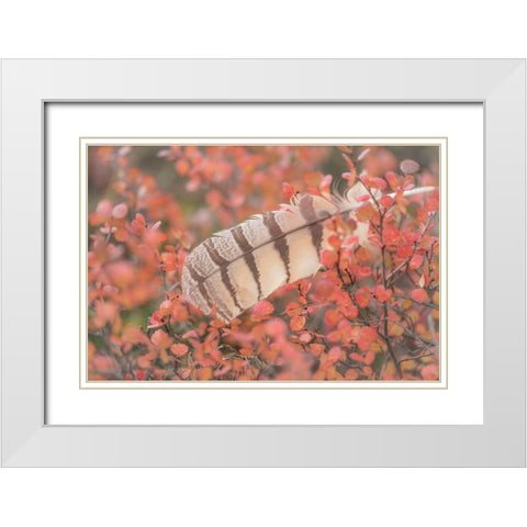 Owl Feather White Modern Wood Framed Art Print with Double Matting by Mahan, Kathy
