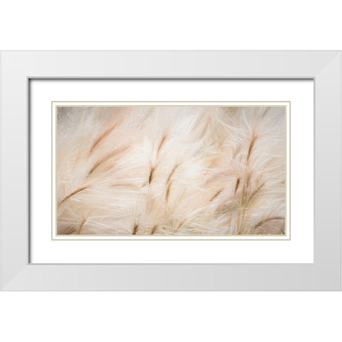 Foxtail Barley IV White Modern Wood Framed Art Print with Double Matting by Mahan, Kathy