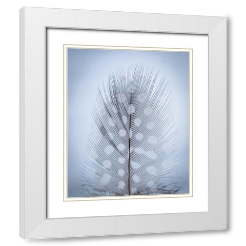 Feather Study I White Modern Wood Framed Art Print with Double Matting by Mahan, Kathy