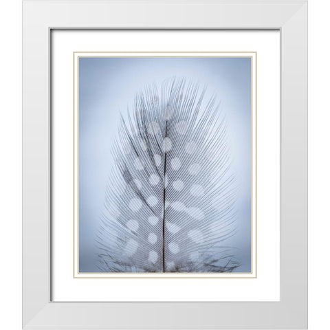 Feather Study I White Modern Wood Framed Art Print with Double Matting by Mahan, Kathy