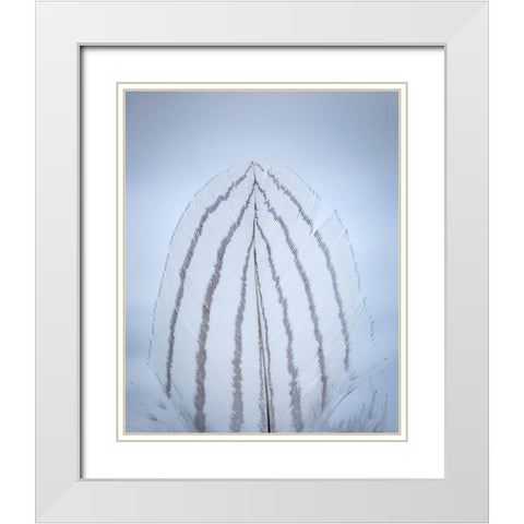 Feather Study II White Modern Wood Framed Art Print with Double Matting by Mahan, Kathy