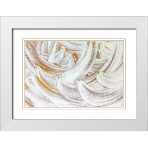 Gone Bananas II White Modern Wood Framed Art Print with Double Matting by Mahan, Kathy
