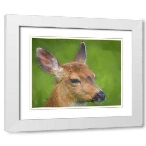 Blacktail Deer I White Modern Wood Framed Art Print with Double Matting by Mahan, Kathy