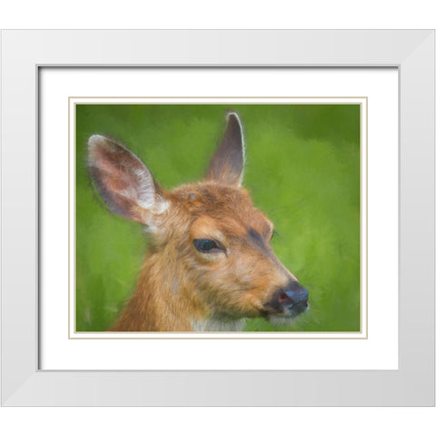 Blacktail Deer I White Modern Wood Framed Art Print with Double Matting by Mahan, Kathy