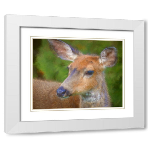 Blacktail Deer II White Modern Wood Framed Art Print with Double Matting by Mahan, Kathy