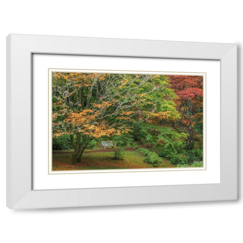 Garden Path White Modern Wood Framed Art Print with Double Matting by Mahan, Kathy