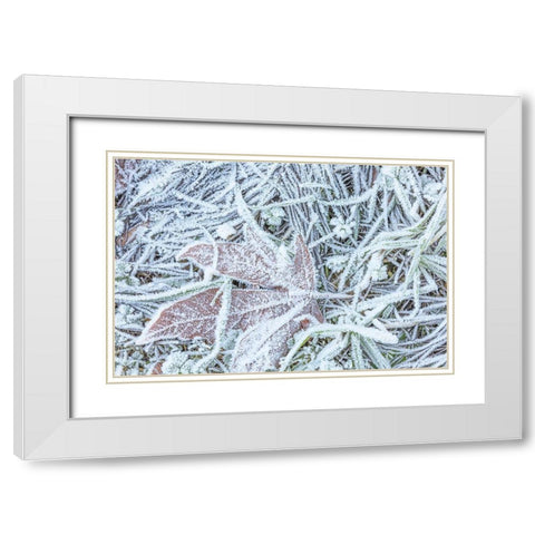 Maple Leaf and Frost I White Modern Wood Framed Art Print with Double Matting by Mahan, Kathy